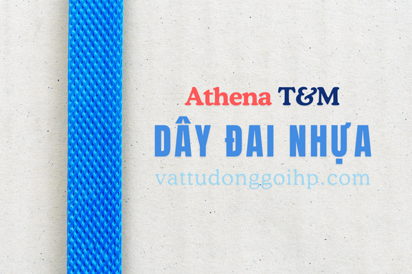 Vật Tư Đóng Gói Hải Phòng - Dây Đai Nhựa PP