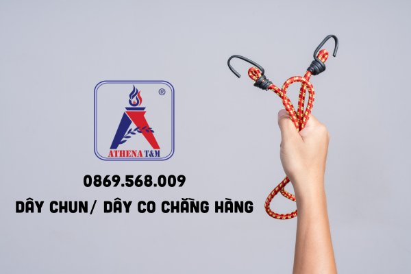 Dây co, dây chun chằng hàng hải phòng giá rẻ