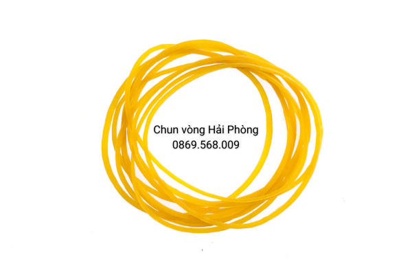 Vật Tư Đóng Gói Hải Phòng - Chun Vòng
